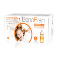 BeneBian Junior Plus – probiotice pentru microflora intestinala